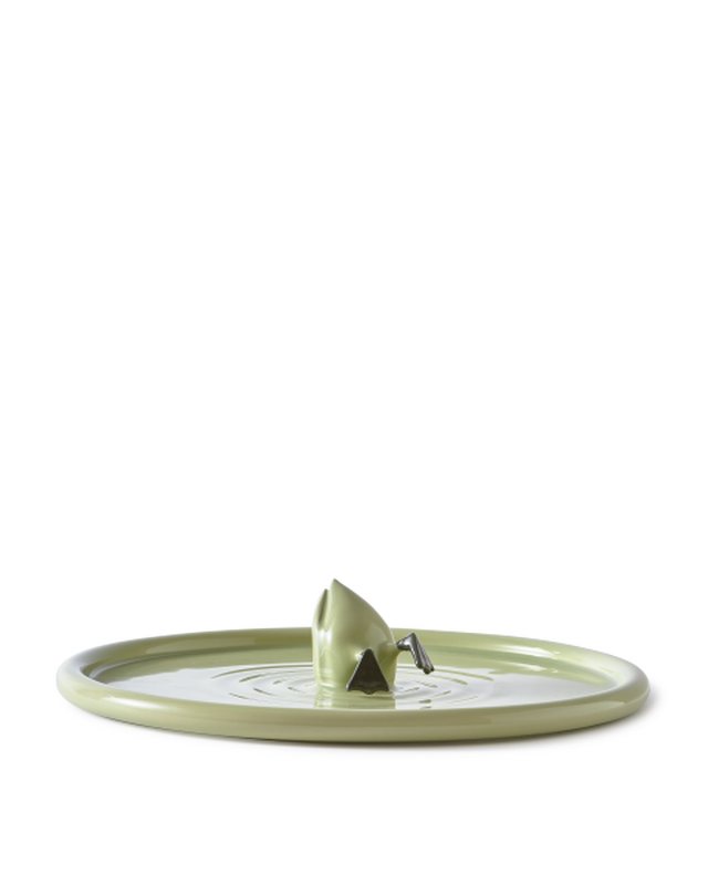DIVING DUCK PLATE IN GREEN & BLACK