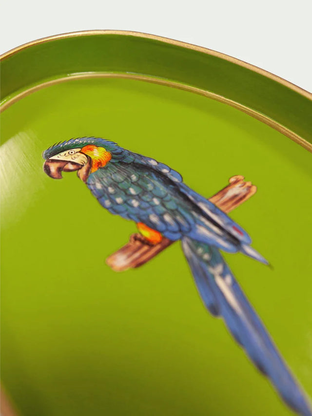 FAUNA TRAY PARROT