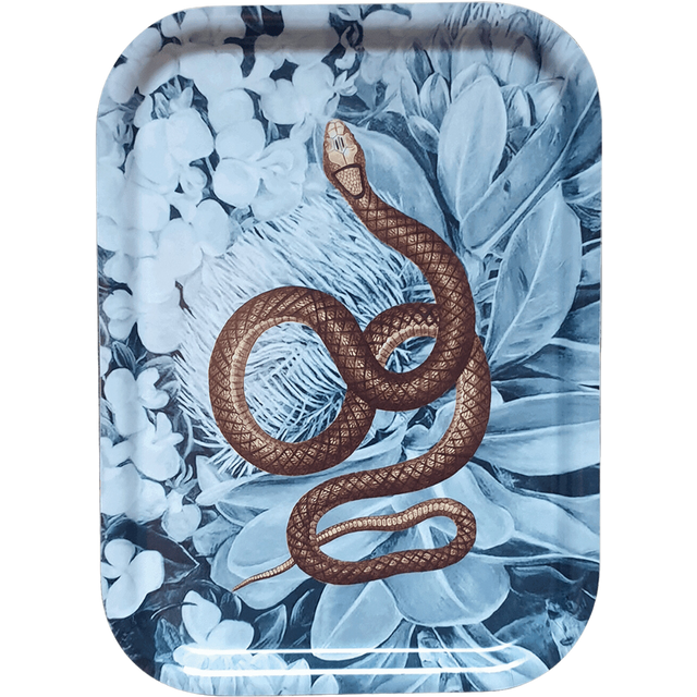 FAUNA TRAY SNAKES