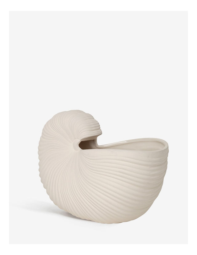 SHELL POT