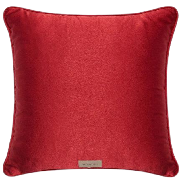 ALPAQ STUDIO. TIGER SILK CUSHION
