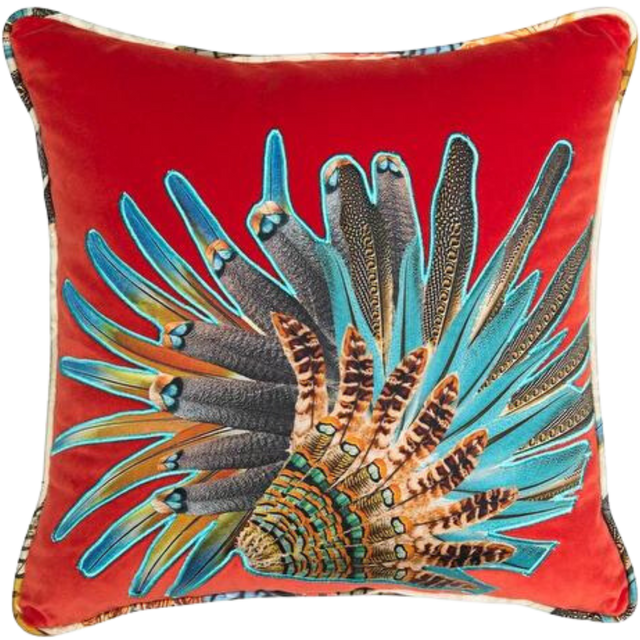 ALPAQ STUDIO. PEACOCK VELVET CUSHION IN RED