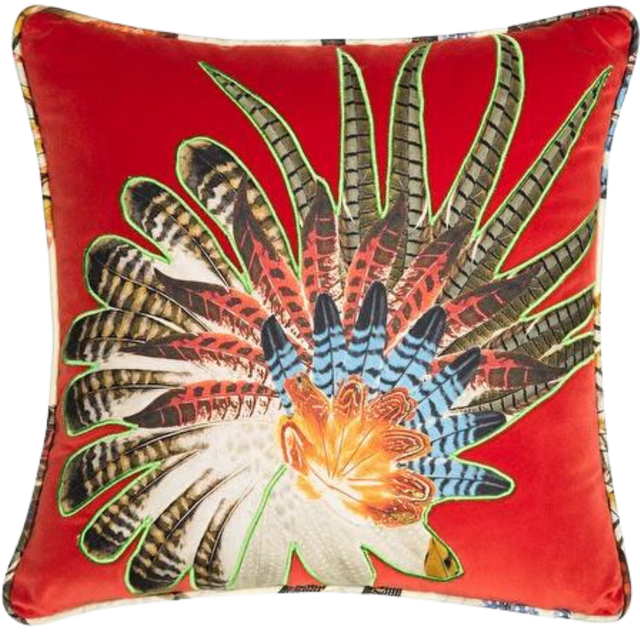 ALPAQ STUDIO. FEATHERS VELVET CUSHION IN RED