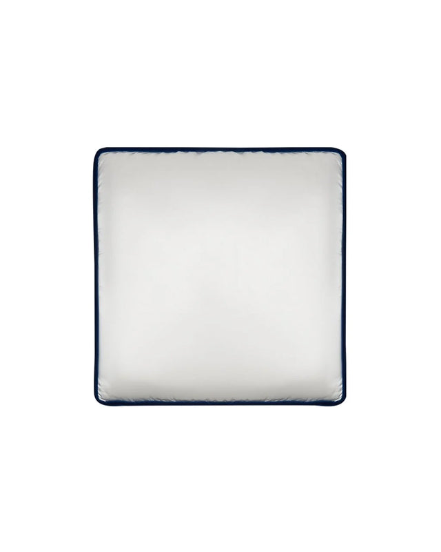 ALPAQ STUDIO. BUTTERFLY SILK CUSHION IN WHITE & BLUE