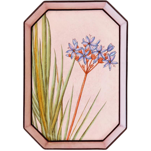 FAUNA TRAY FLOWERS